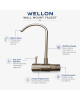 Wellon Wall Mount Faucet for RO Water Purifier | Stainless Steel Finish | High Arc Drinking Water Tap | Easy Wall Installation